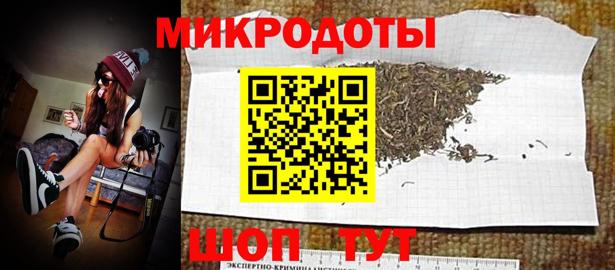 Галлюциногенные грибы мухоморы Геленджик