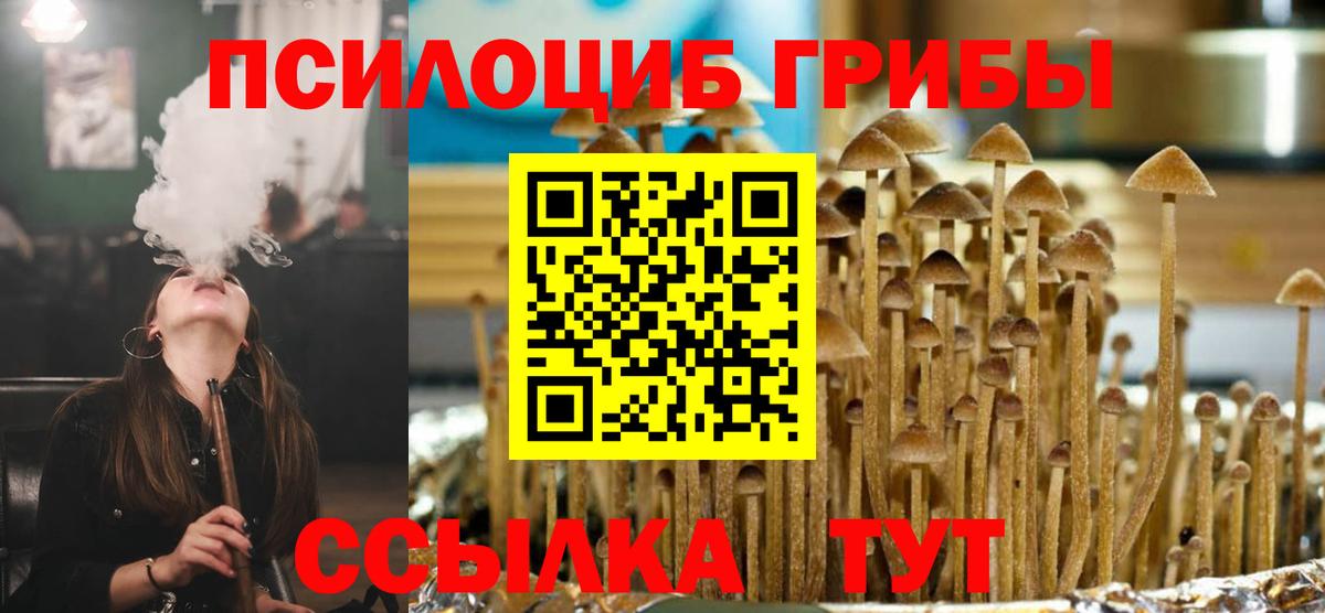 Галлюциногенные грибы Psilocybe  Вход с VPN  Геленджик 